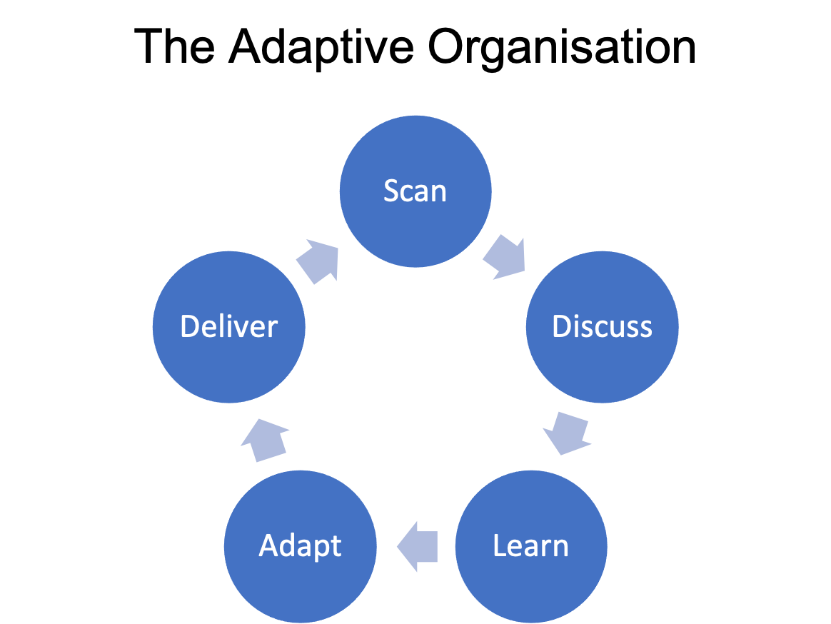 69. The Adaptive Organisation